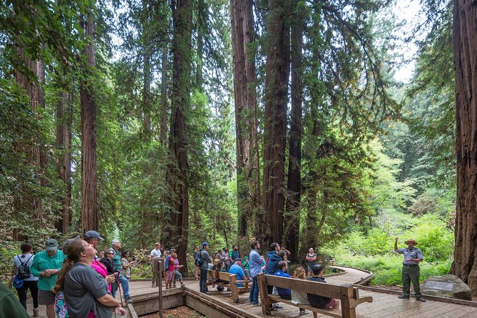 Mix & Save: Muir Woods and Sausalito + Escape From the Rock Cruise - Price and value for a 6.5-hour combo day