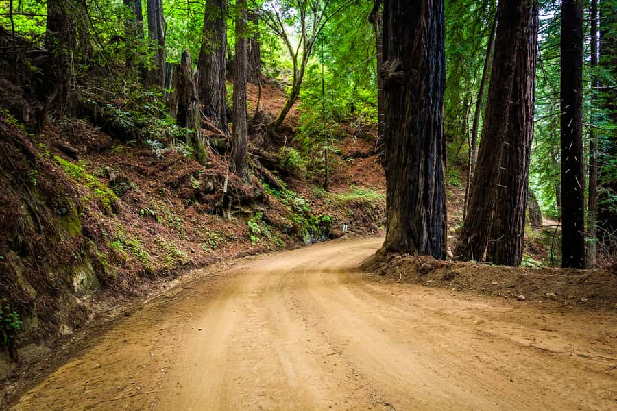 Monterey, Carmel, 17 Mile Dr, Big Sur & Mcway Falls Pvt Tour - Price and Logistics: What $890 Buys for Up to 5