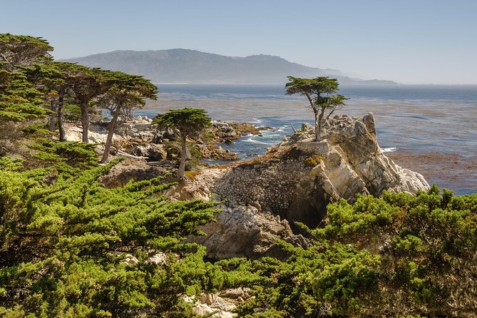 Monterey, Carmel and 17-Mile Drive: Full Day Tour from SF - Bird Rock, Lone Cypress, and Pebble Beach Golf Links: the icons in minutes