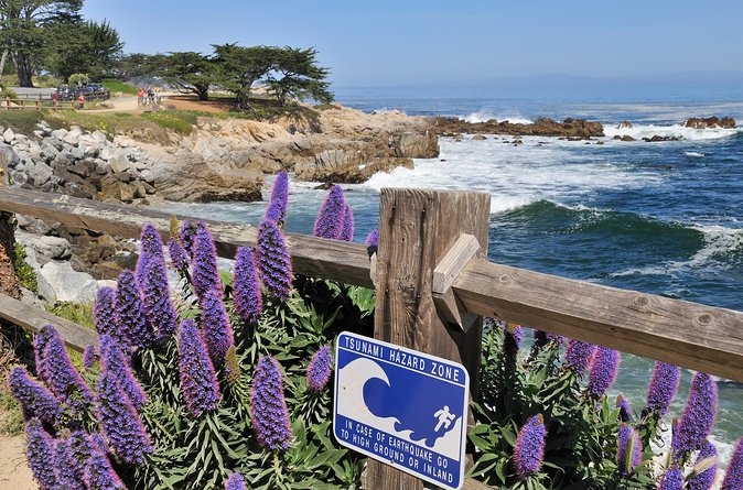 Monterey, Carmel and 17-Mile Drive: Full Day Tour from SF - Carmel-by-the-Sea at Carmel Plaza: shopping time with a beach-side chance