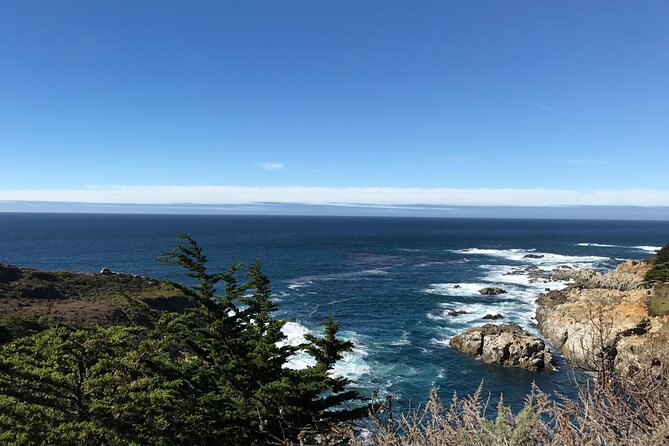 Monterey Peninsula, Carmel, 17-Mile Drive Max 12 Small Group Tour - 17-Mile Drive, where the included ticket turns into savings