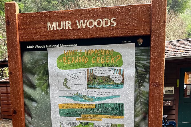 Muir Woods and Sausalito Private Tour - Why the $599 Per Group Price Can Be Good Value