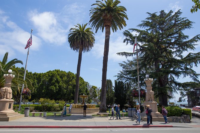 Muir Woods and Sausalito (Return by Bus or Ferry) - Getting to Muir Woods fast, from Union Square or Fisherman’s Wharf