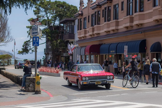 Muir Woods and Sausalito (Return by Bus or Ferry) - When Muir Woods is closed, Armstrong Redwoods may replace it