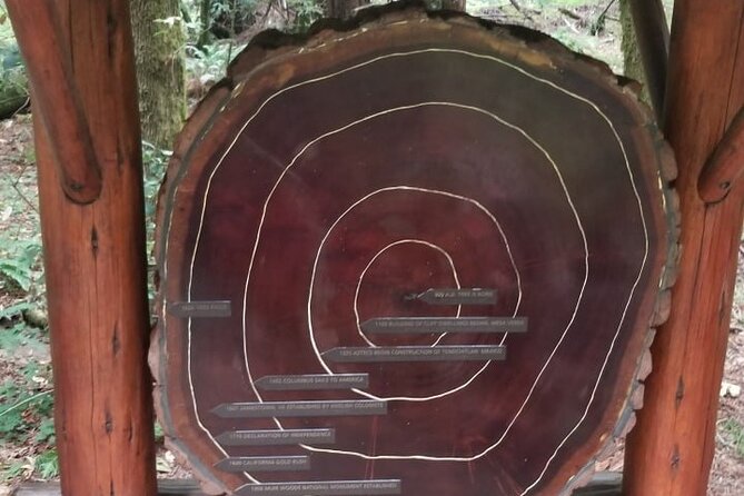 Muir Woods and Sausalito Tour Entrance Fee Included - Photo and listening tips that make the day smoother