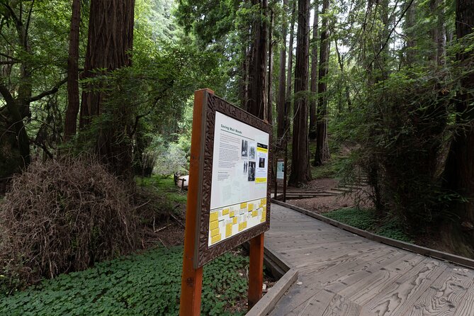 Muir Woods and Sausalito Tour Entrance Fee Included - Who should book this Muir Woods and Sausalito tour, and who shouldn’t