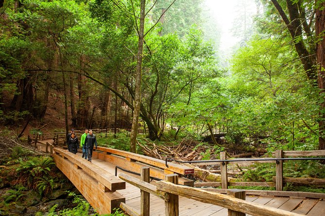 Muir Woods and Sausalito Tour Plus Bay Cruise - The 7:40am Pier 39 Start and the Golden Gate Bridge View Setup
