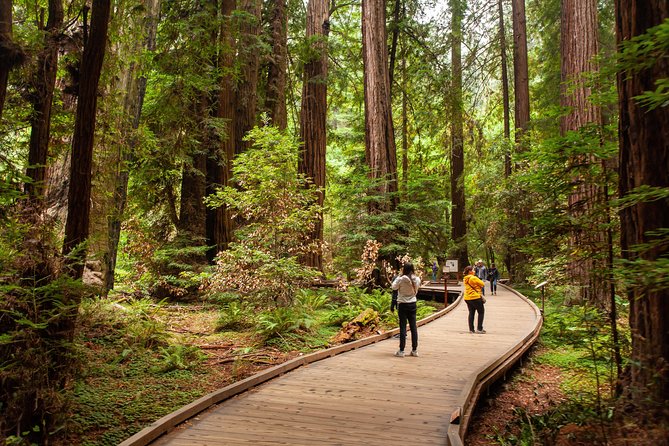Muir Woods and Sausalito Tour Plus Bay Cruise - Price and Value: Is $133 a Good Deal for This Much Sightseeing?