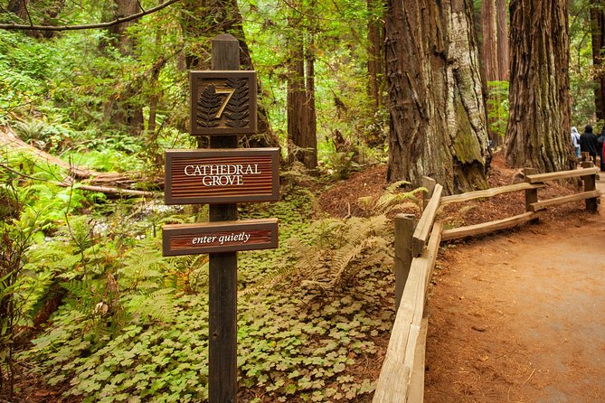Muir Woods and Sausalito Tour Plus Bay Cruise - Who Should Book This Muir Woods + Sausalito + Bay Cruise?