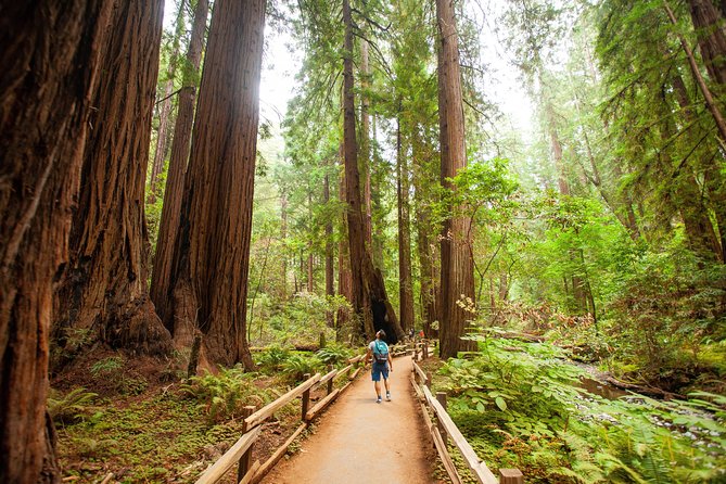 Muir Woods and Sausalito Tour Plus Bay Cruise - Quick Packing and Day-Makeover Tips