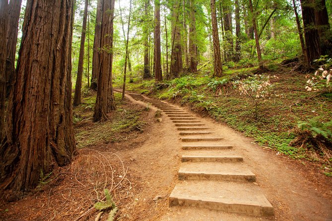 Muir Woods and Sausalito Tour Plus Bay Cruise - Muir Woods National Monument: 90 Minutes Among Coastal Redwood Giants