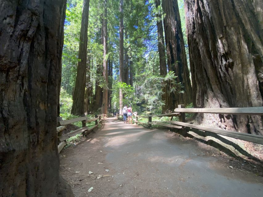 Muir Woods, Golden Gate Bridge & Sausalito Private Tour 3+hr - Sausalito: artsy bayside time that feels like a break