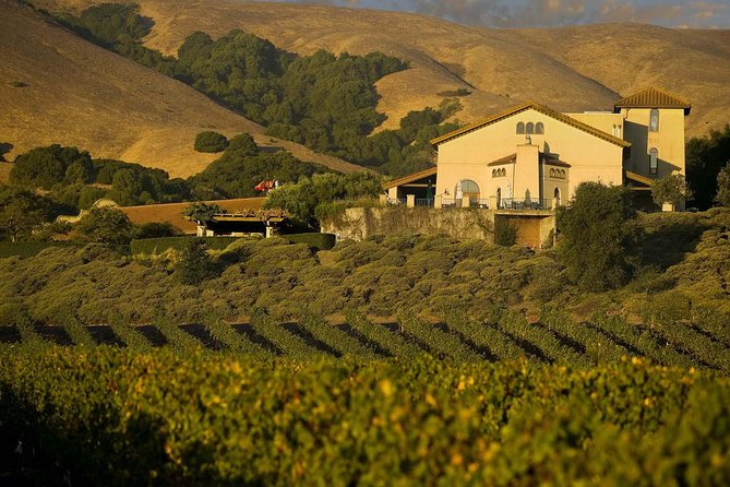 Muir Woods & Napa-8hr-Private Scenic Wine Tour From San Francisco - Private Door-to-Door From San Francisco, With Wine-Country Reality