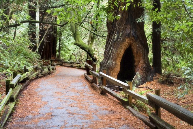 Muir Woods & Napa-8hr-Private Scenic Wine Tour From San Francisco - Sonoma Wineries: 2 Hours to Match Your Tastes