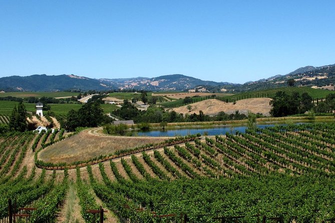 Muir Woods & Napa-8hr-Private Scenic Wine Tour From San Francisco - The Golden Gate Bridge Stop That Turns Into a Memory