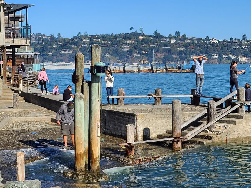 Muir Woods, Sausalito and Ferry back to Fisherman's Wharf - Marin County drive-by scenery and why it sets up Muir Woods