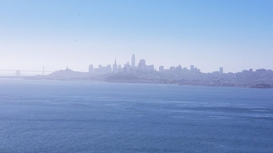 Muir Woods, Sausalito and Ferry back to Fisherman's Wharf - Muir Woods: how to see the 400-foot redwoods the right way