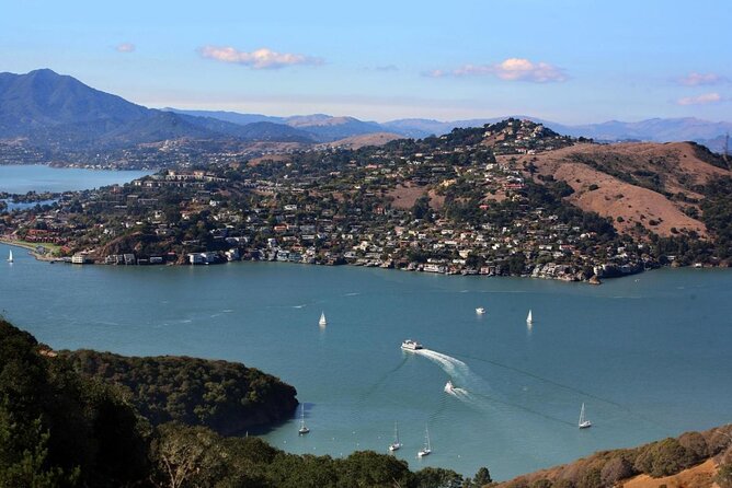 Muir Woods, Sausalito and Tiburon Day Trip from San Francisco - Sausalito in 10 minutes: hillside views and lunch timing