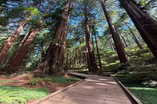 Muir Woods, Sausalito, Battery Spencer Premium Small-Group Tour - Key Highlights You’ll Notice Fast