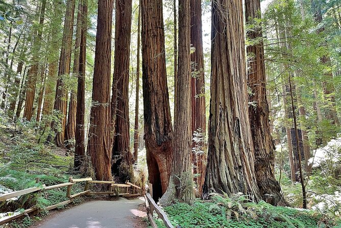 Muir Woods, Sausalito, Battery Spencer Premium Small-Group Tour - Getting On Board at Fisherman’s Wharf, Then Rolling Toward the Golden Gate