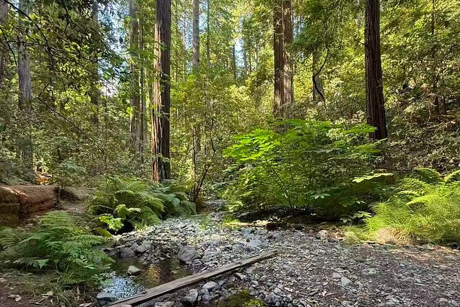 Muir Woods, Sausalito, Battery Spencer Premium Small-Group Tour - Price and Value: What Your $89 Ticket Is Really Buying