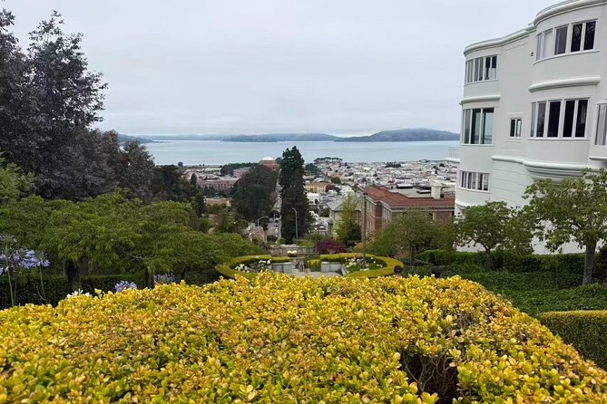 Muir Woods, Sausalito, Battery Spencer Premium Small-Group Tour - Who This Tour Fits Best