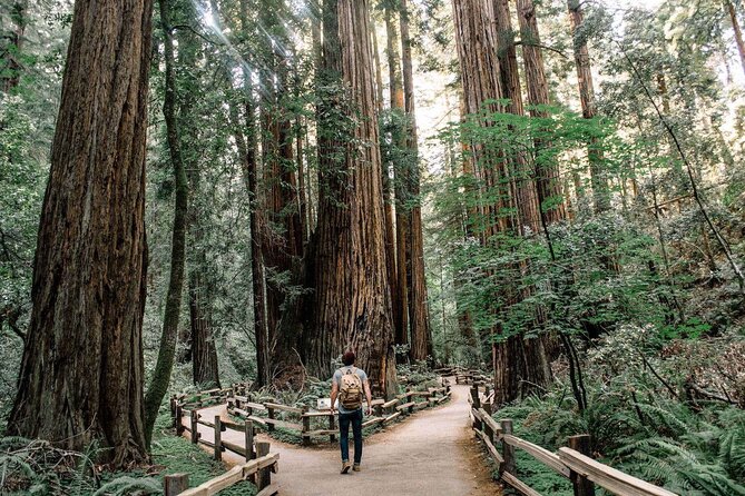 Muir Woods & Sausalito: Small Group Experience - Key things to know before you go