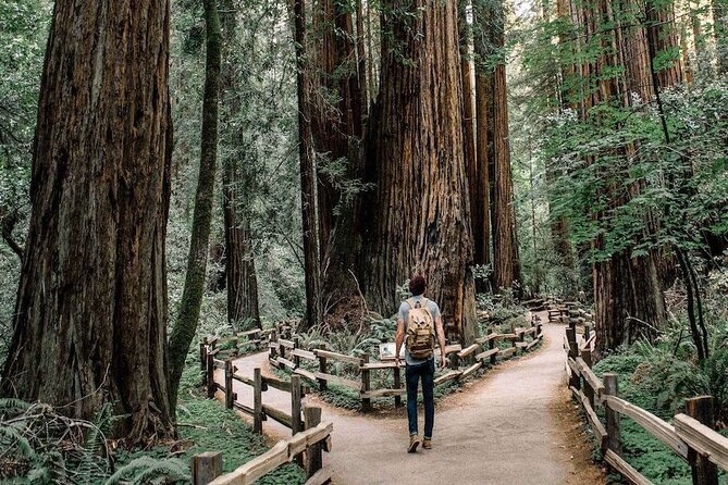 Muir Woods & Sausalito: Small Group Experience - The half-day schedule that works for real life in San Francisco