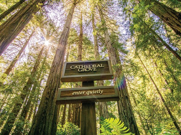 Muir Woods & Sausalito Tour - Sausalito in about 50 minutes, plus the ferry idea if your schedule allows it
