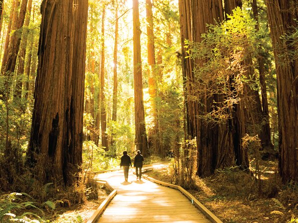 Muir Woods & Sausalito Tour - Logistics risks: the stuff that can ruin your day, and how to protect yourself