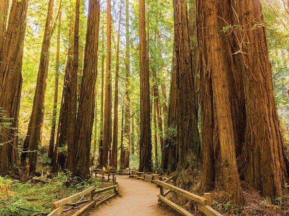 Muir Woods & Sausalito Tour - Who this tour suits best