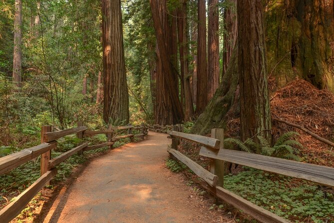 Muir Woods Self-Guided Driving and Walking Audio Tour - Starting Near the Park Boundary and the Railway Trace