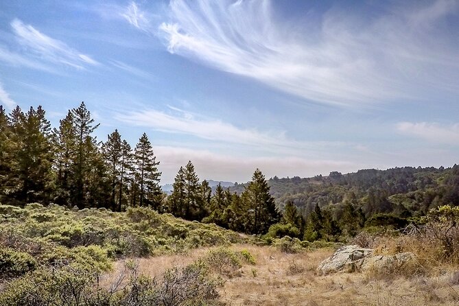 Muir Woods Self-Guided Driving and Walking Audio Tour - First Stop: Panoramic Highway Overlooks in About 20 Minutes