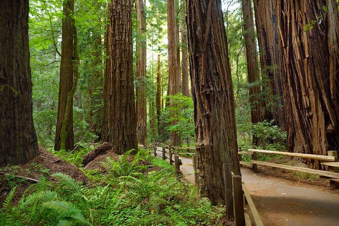 Muir Woods Self-Guided Driving and Walking Audio Tour - Arrival Cue: The Wooden Archway and Visitor Center Finish
