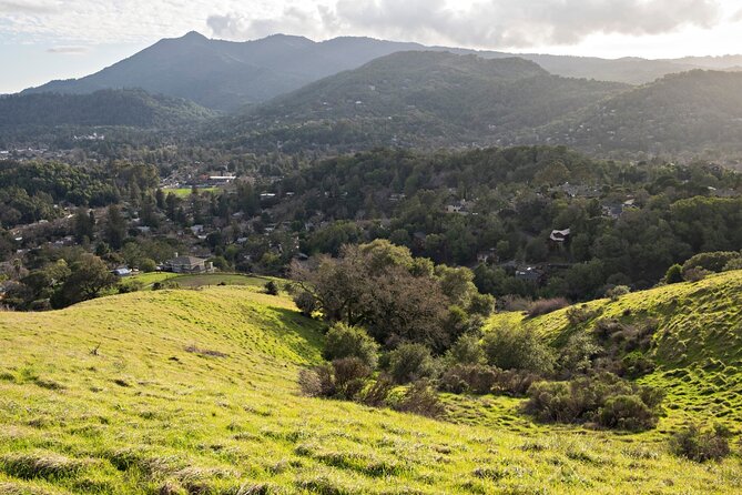 Muir Woods Self-Guided Driving and Walking Audio Tour - Driving and Walking Reality on a 7+ Mile Route