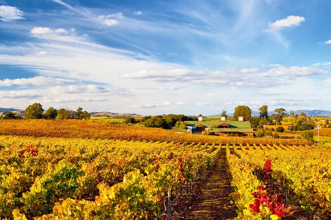 Muir Woods & Wine Tour: Redwoods & Tastings at 3 Wineries - Should you book this Muir Woods and Wine Country day trip?