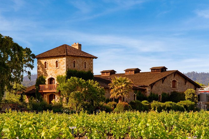 Napa and Sonoma-8-hr Private-Wine Tour from San Francisco XL SUV - Napa Valley Wineries: Big Names, Real Timing, and Room to Breathe