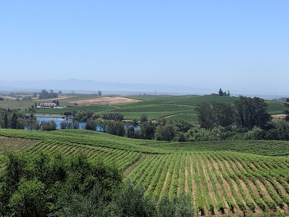 Napa and Sonoma Valley Wine 6 hour Tour from San Francisco - A Private Napa and Sonoma Day With San Francisco Photo Stops