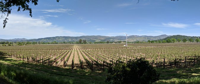 Napa and Sonoma Valley Wine 6 hour Tour from San Francisco - The Historic Plaza Stop: Bear Flag Revolt and Mission Ties