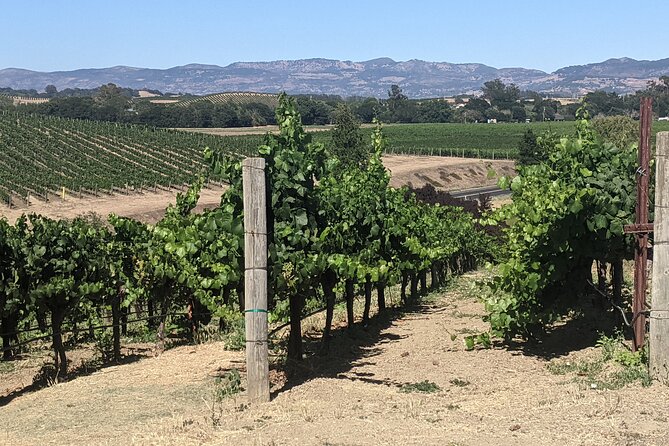 Napa and Sonoma Valley Wine 6 hour Tour from San Francisco - Included Comforts That Keep the Day Moving