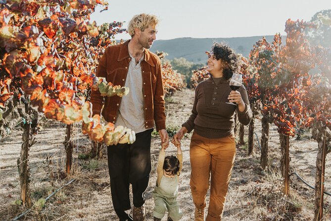 Napa and Sonoma Wine Tour from San Francisco - Sonoma Square: the lunch break that turns into a mini city day