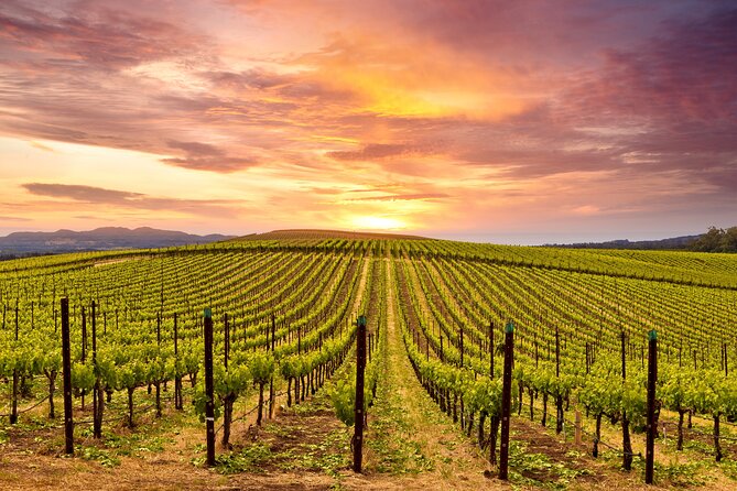 Napa or Sonoma Private Wine Tour from San Francisco - Golden Gate Bridge photo time without the headache