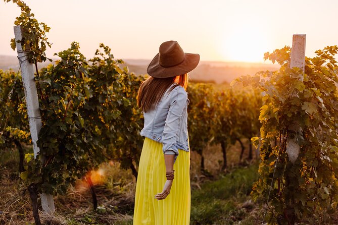 Napa or Sonoma Private Wine Tour from San Francisco - Who this private Napa or Sonoma tour is best for
