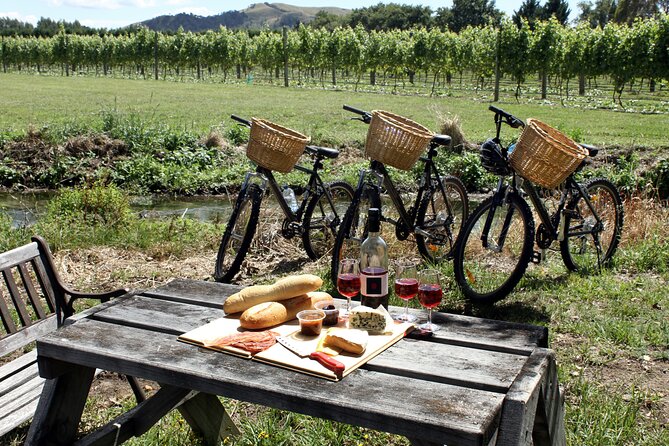 Napa or Sonoma Private Wine Tour from San Francisco - Should you book this private Napa or Sonoma tour?