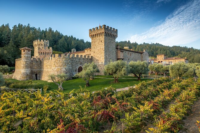 Napa Valley Wine and Food Tasting Tour from San Francisco - Key highlights worth your attention