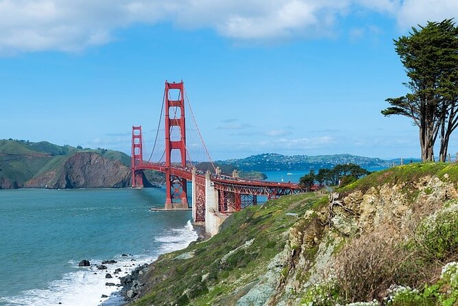 Nearly Private San Francisco Tour Including Sausalito - Starting at Fisherman’s Wharf, then the sea lion energy at Pier 39