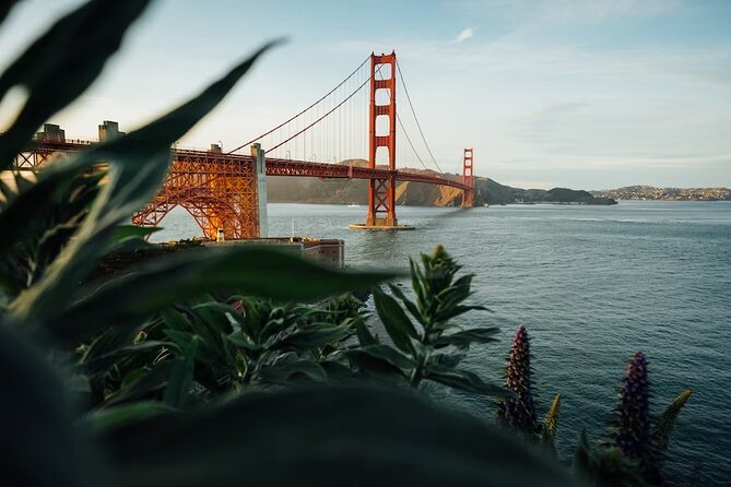 Official Alcatraz Island Prison Tour with Free App Audio Packages - Meeting at 571 Post St, getting the right ferry, and avoiding the usual time traps