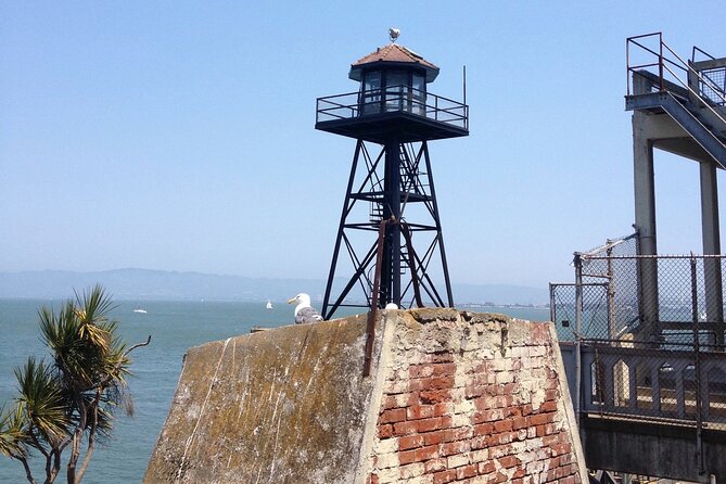 Official Alcatraz Tour with Golden Gate Bridge Bay Cruise - Meeting Points, Boat Changes, and How to Avoid a Missed Segment