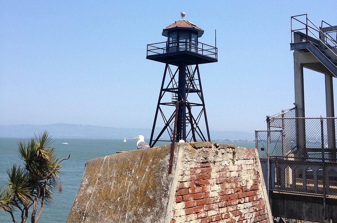 Official Alcatraz Tour with Golden Gate Bridge Bay Cruise - Final Verdict: Should You Book This Alcatraz + Bridge Cruise?