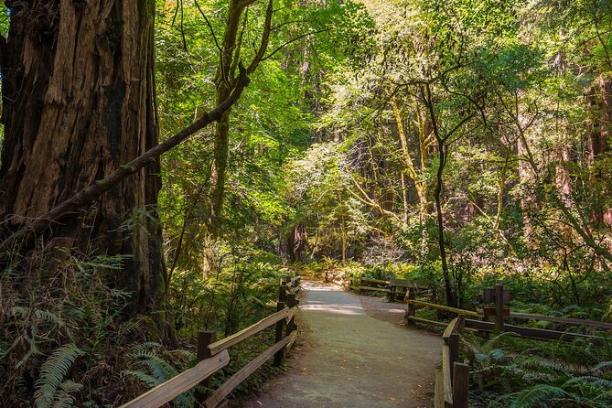 One Day in San Francisco: Alcatraz, Muir Woods, and SF City Tour - North Beach to Fisherman’s Wharf, getting your bearings fast